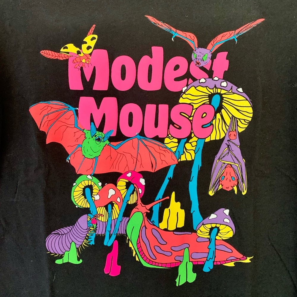 Modest Mouse Band Shirt